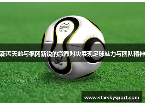 新泻天鹅与福冈新锐的激烈对决展现足球魅力与团队精神